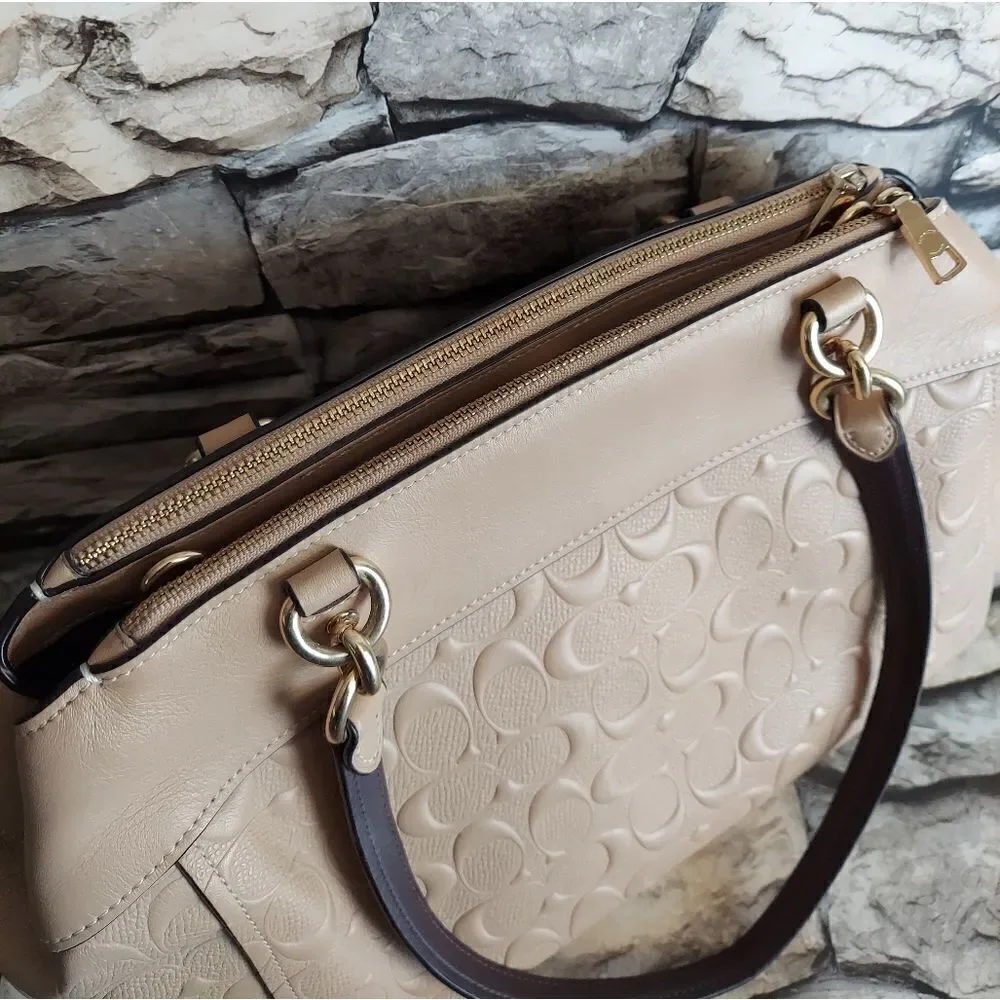 BROOKE CARRYALL IN SIGNATURE LEATHER (COACH F25952)